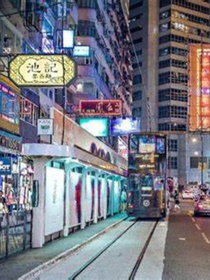 我和星座狗联盟毛绒玩具在一起生活