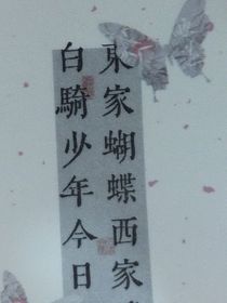 涵晨傳