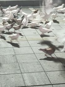 入殓师的庄园游戏