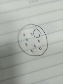 穿越成系统怎么办