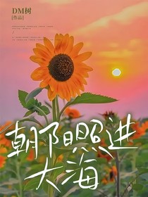 朝阳照进大海