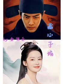 藏心于婉