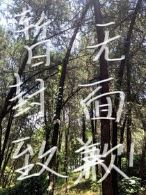 风雪逆途