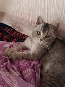 魔族同人：以暴制暴