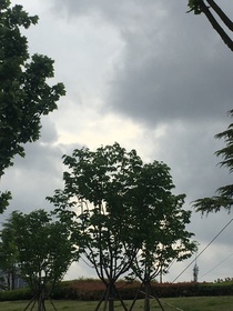 零碎的天气