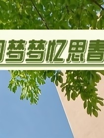 回梦梦忆思春期