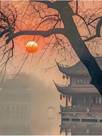 倾悄梦