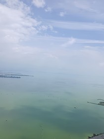 我改變了末世