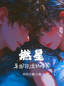 燃星之异国顶流的暗宠