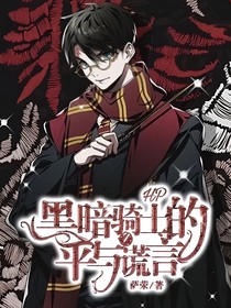 HP：黑暗骑士的生平与谎言