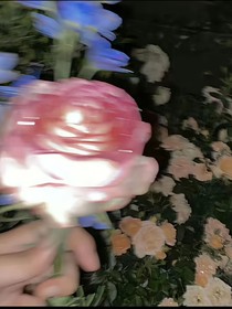 札禮