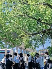 同人文（小说）