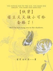 （快穿）宿主又又被小可憐套路了！