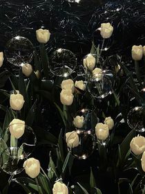 当绿茶有点快乐