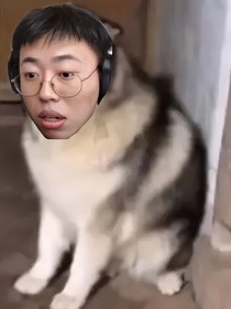 雨轩的异世界