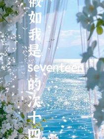 假如我是seventeen的次十四