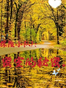 探险小队一之密室的秘密