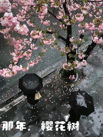 那年，樱花树