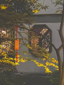离弦断韵