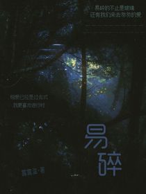 易碎关系-d420