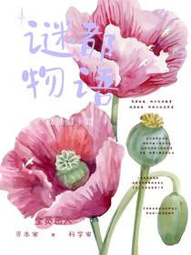 谜都物语