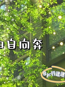 奔向自由的爱
