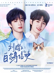 刘耀文：白鸽信使