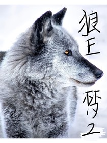 狼王梦续：夙愿