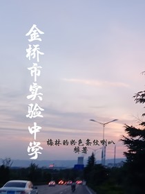 金桥市实验中学