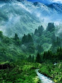 墨小侠：地球