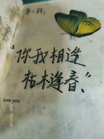 偷吻我的少年