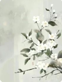 嫔妃养成传