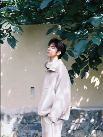 刘耀文：少时惊鸿
