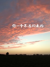 你个不善的东西