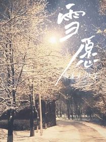 宝铲：雪愿