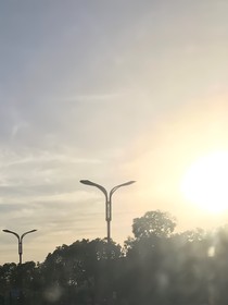 孰真孰假