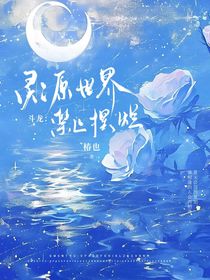 斗龙：灵源世界禁止摆烂