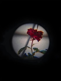 特案组：人性