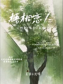 梧桐恋人