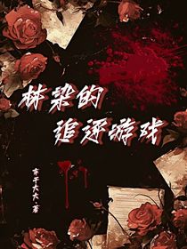 林染的追逐游戏