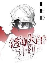凹凸世界：透明人自救计划