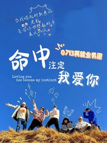 0713再就业男团：命中注定我爱你