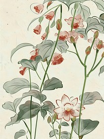 月下萬古花