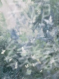 無限續(xù)緣