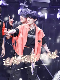 极航：这是我家小猫