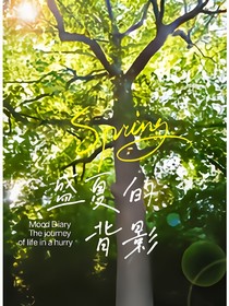 盛夏的背影