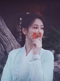 綜影視：不負(fù)相思語