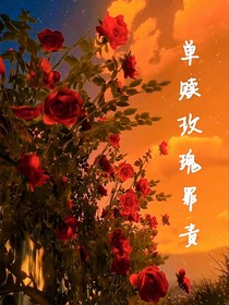 單贖玫瑰罪責(zé)