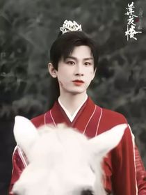 莲花楼之青与莲