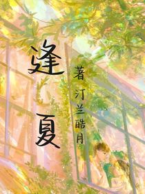 b汀兰皓月